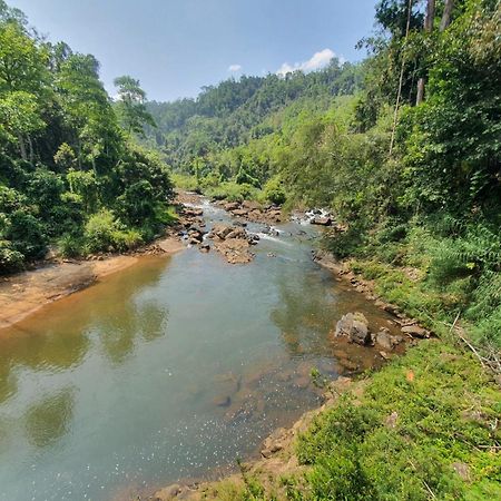 Rainforest River Bay Deniyaya Zewnętrze zdjęcie
