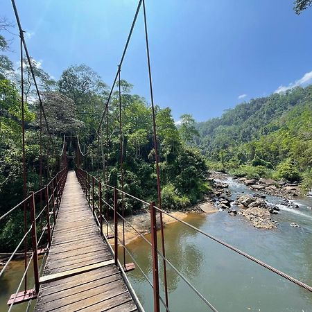 Rainforest River Bay Deniyaya Zewnętrze zdjęcie