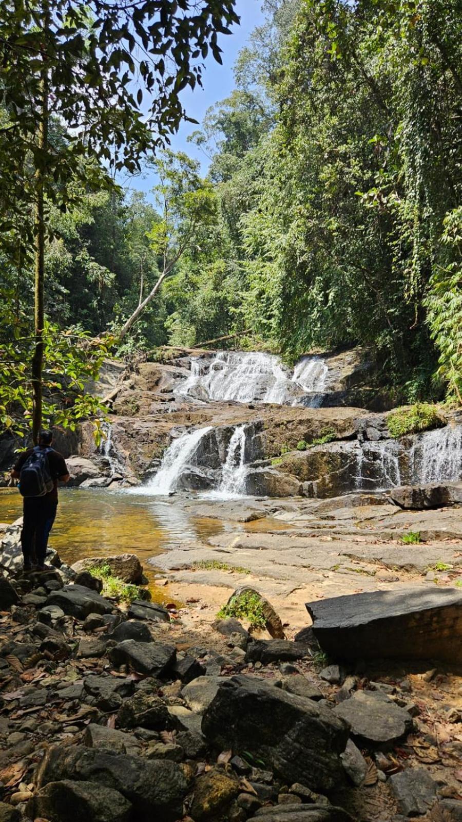 Rainforest River Bay Deniyaya Zewnętrze zdjęcie
