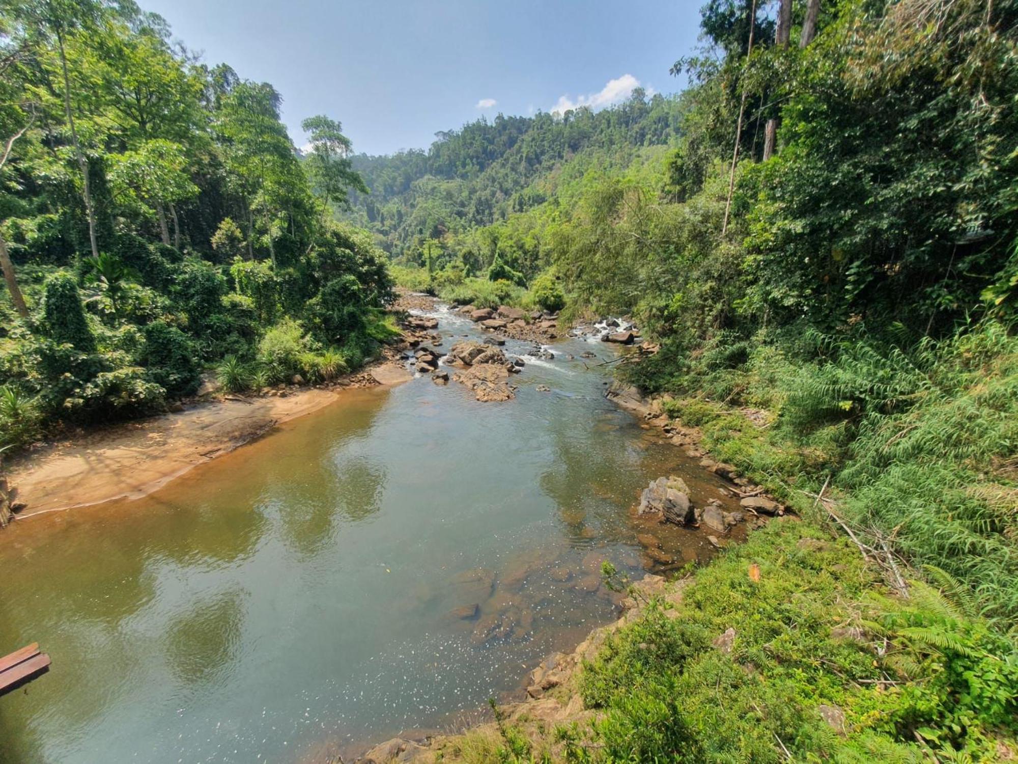 Rainforest River Bay Deniyaya Zewnętrze zdjęcie